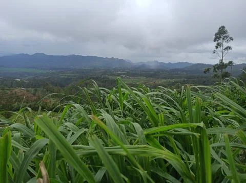 Cool view from the top of the valley Stock Photos