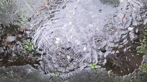 Cool Water Drops Video stock 237157679