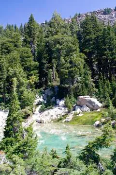 Cool Water Pool with Algae 스톡 사진