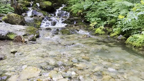 Cool water of rivers in the mountains Vídeos de archivo 341108325