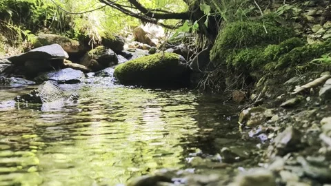 Cool water of rivers in the mountains Stock Footage 341121606