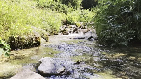 Cool water of rivers in the mountains Vídeos de archivo 341268409