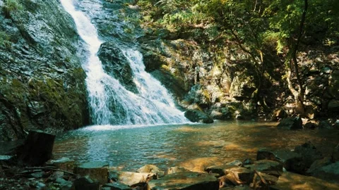 Cool waterfall stream in midsummer 動画素材 299883923