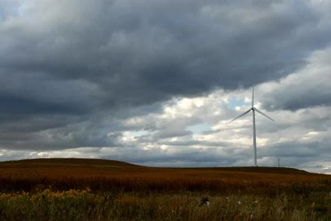 Cool Wind 스톡 사진