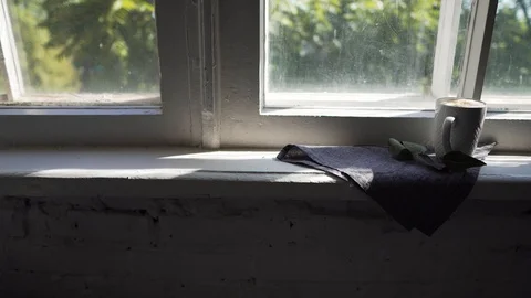 Cooled coffee on the windowsill, outside the window the green branches of the Stock Footage 114158629