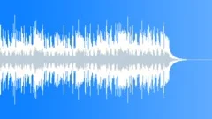 COOLEST INDIE ROCK STING 0.24 Stock Music