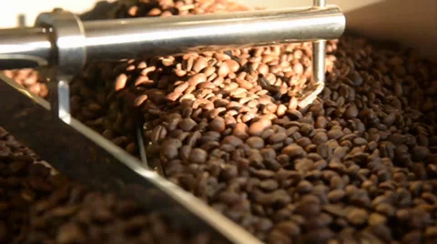 Cooling beans Stock Footage 35303006