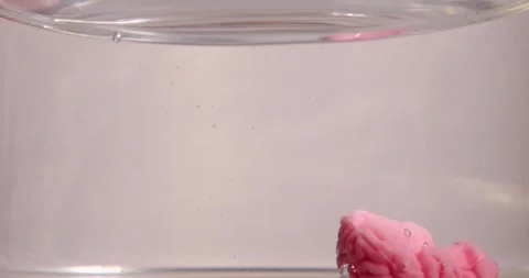 Cooling a Brain Model in Water to Explore Health Effects and Cheerfulness Stock Footage 312922563