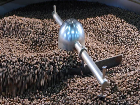 Cooling coffee beans after roasting. Roasting machine. Stock Footage 72730335