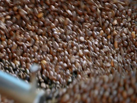Cooling coffee beans after roasting. Roasting machine (close-up). Stock Footage 72730793