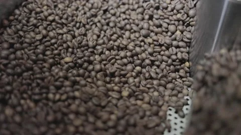 Cooling coffee beans after roasting. Roasting machine, Stock Footage 143384301