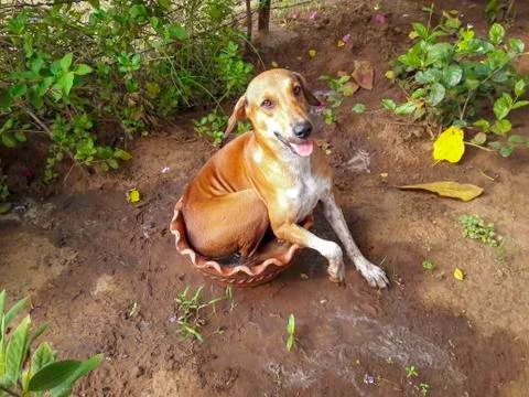 Cooling down Stock Photos