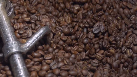 Cooling down roasted coffee in the roaster machine Stock Footage 121018211