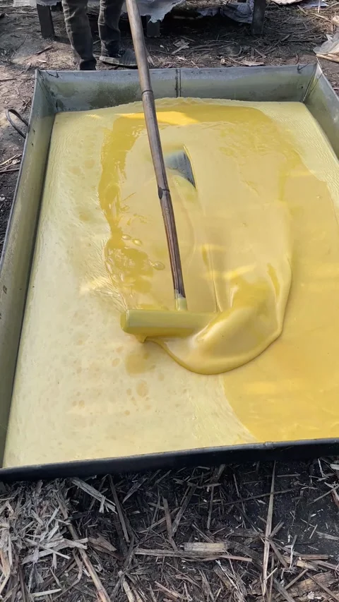 Cooling heated sugarcane juice during traditional jaggery Stock Footage 326910099