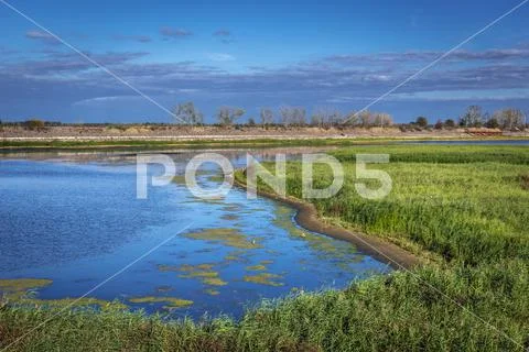 Cooling lake of Chernobyl Nuclear Power Station, Chernobyl Zone in ...