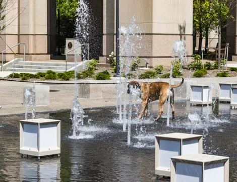 Cooling Off Stock Photos