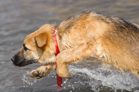 Cooling Stock Photos