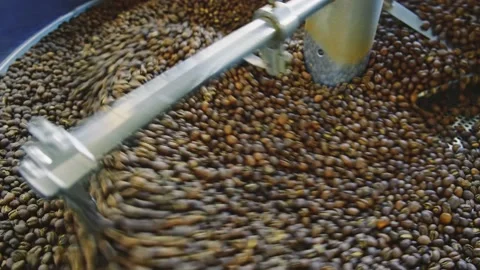 Cooling roasted coffee in a special container by stirring. Stock Footage 142256805