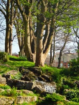 Cooling Stream 스톡 사진