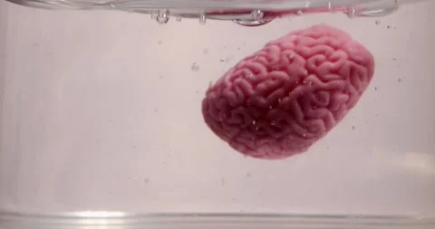 Cooling Techniques for Brain Health Enhance Cheerfulness and Reduce Shock Stock Footage 313250936