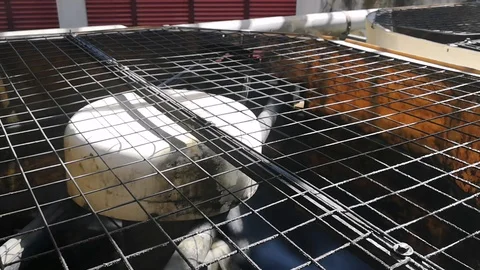 The cooling tower is in operation. The fan operates to absorb the hot water temp Stock Footage 120545139