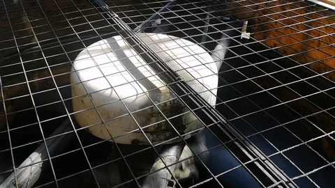 The cooling tower is in operation. The fan operates to absorb the hot water temp Stock Footage 120545432