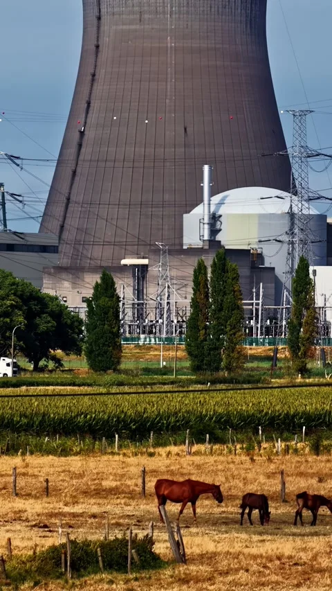 Cooling Tower Rises Behind Cattle Farm at Doel Nuclear Plant Belgium Stock Footage 344522093