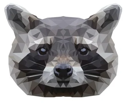 Coon portrait. Abstract low poly design. Vector illustration. Stock Illustration