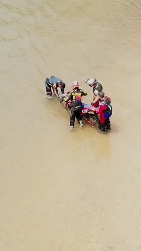 Coop crossing Stock Footage 237907886