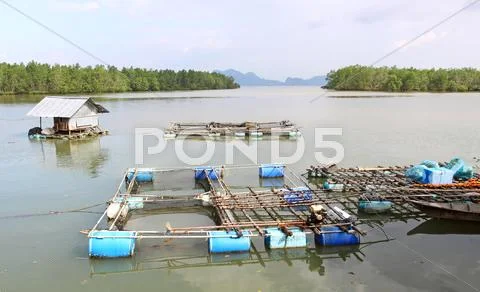 Coop at phangnga province Stock Photos