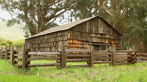 Cooper Cabin 库存影片 10901161