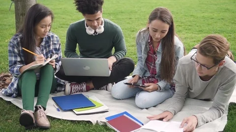 Cooperation team is sitting and studying near university campus Stock Footage 101794246