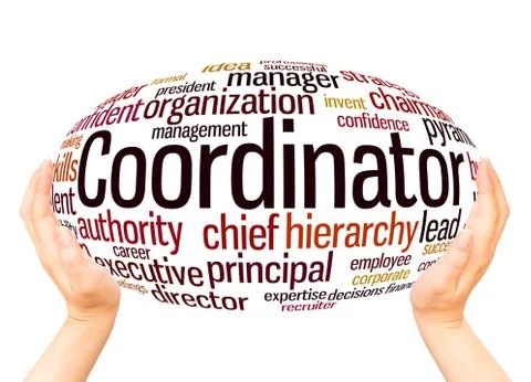 Coordinator word cloud hand sphere concept Stock Photos