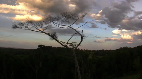 Cooroy Mountain Sunset v2 스톡 동영상 990247