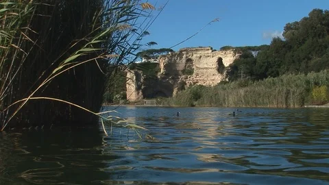 Coots in the lake Stock Footage 106377035