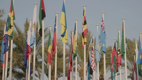 COP28, Dubai: Flags from all over the world, palm trees in the background Stock Footage 289213358