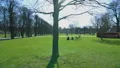 Copenhagen city park on sunny day, people on vacation relaxing on green grass HD Footage