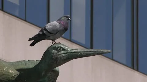 Copenhagen, Denmark Видео 22104743