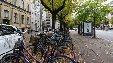 Copenhagen Stock Footage 218256733