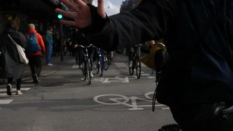 Copenhagen Stock Footage 218256823