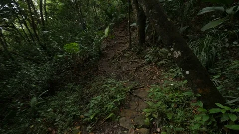 Copolia 3 Stock Footage 80390107