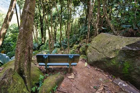 Copolia trail bench on the nature trail Stock Photos