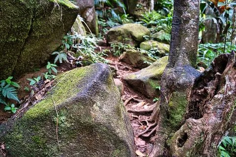 Copolia trail passage between rocks, Mahe Seychelles Stock Photos