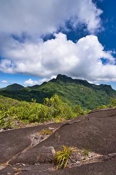 Copolia trail view of Seychelles  highest mountain, morn Seychellois, morn b Foto stock