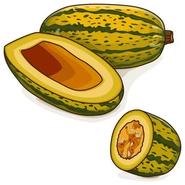 Copped Courge Spaghetti winter Squash Clipart. Ilustración de archivo