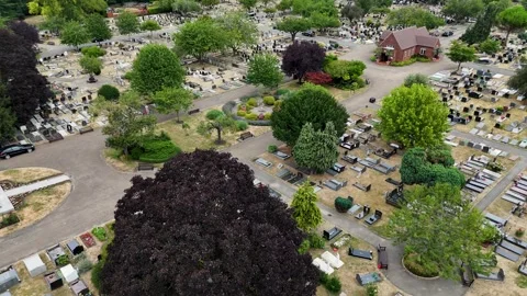 Copper beech and mature trees rise above the graves and memorials of a large Stock Footage 343469209