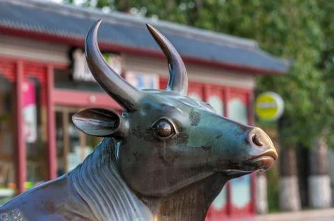 Copper bull Stock Photos