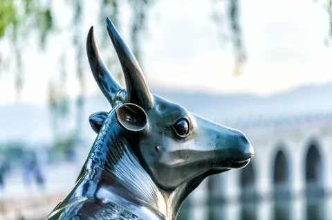 Copper bull Stock Photos