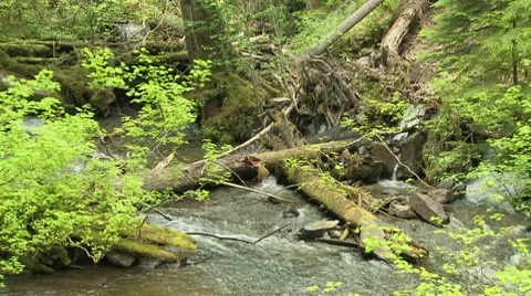 Copper Creek 01 Video stock 7745828