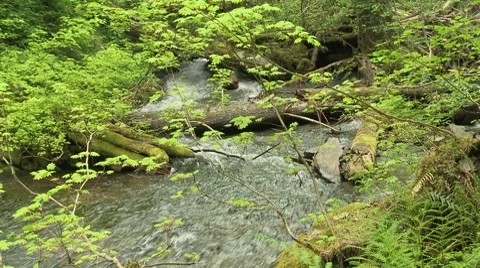 Copper Creek 02 Video stock 7745832